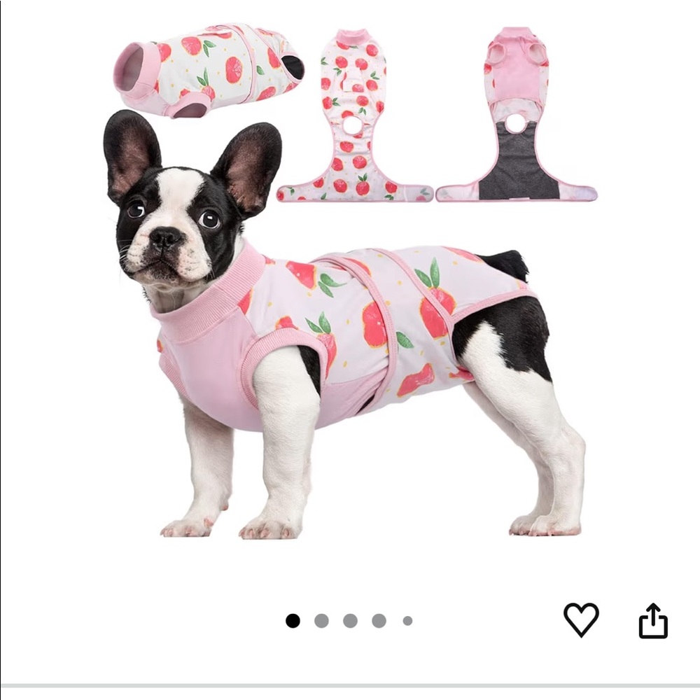 Recovery Suit for Dogs and Cats